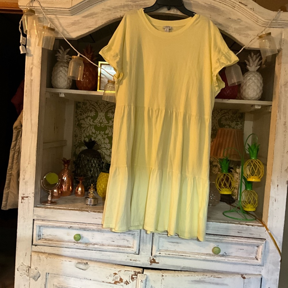 J. Crew X-Large dress